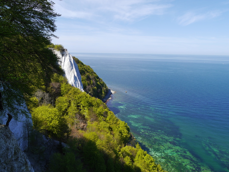 day, forest, water, baltic sea, land, scenics - nature, plant, 4K, tranquil scene, beauty in nature, booked, sky, sea, no people, white cliffs, tree, outdoors