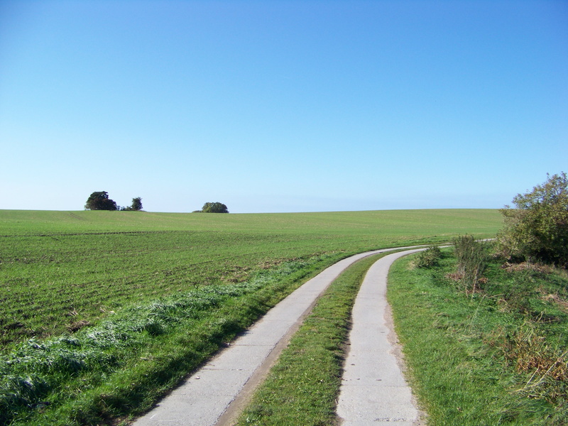 grün, rügen, agriculture, meer, himmel, curve, grass field, baltic  sea, germany, road, nature, ruegen, grass, field, blue, deutschland, green grass, feld