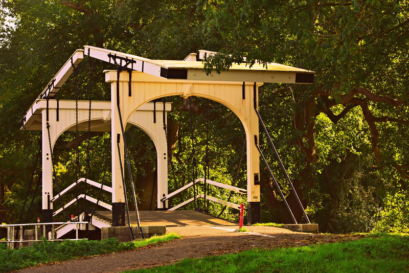 plant, built structure, bridge - man made structure, monument, architecture, counterweight, arch, amsterdamse school, green color, day, no people, nineteen thirties