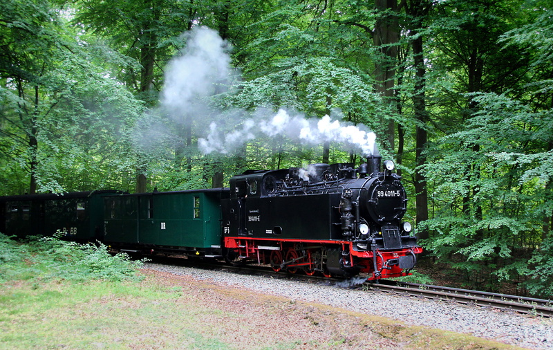 track, public transportation, steam locomotive, old, loco, train, steam, no people, 4K, smoke - physical structure, narrow gauge, train - vehicle, locomotive