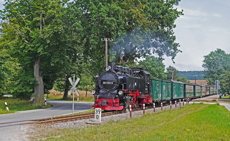 4K, nature, diplomatic traffic, tank locomotive, plant, öpnv, 750mm, no people, mode of transportation, land vehicle, steam locomotive, outdoors, narrow gauge railway