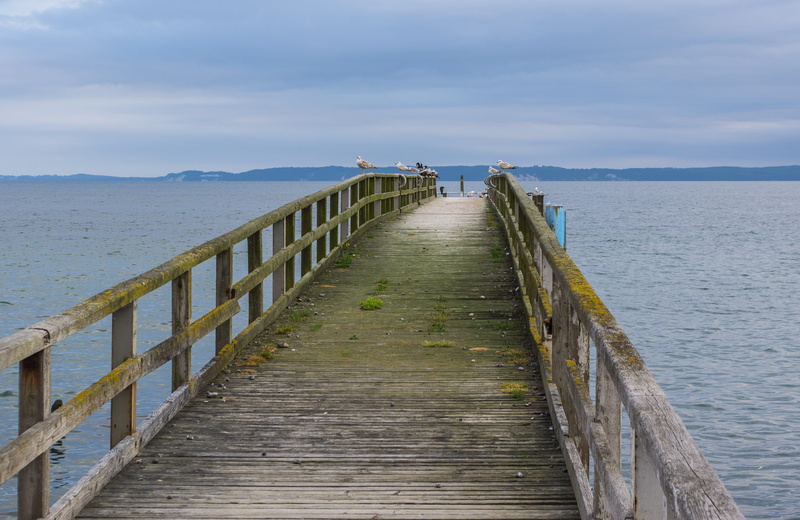 beach, 5K, long, the way forward, wood paneling, coast, old, baltic sea, beauty in nature, footpath, jetty, wood, tranquility, rügen, web, water, nature