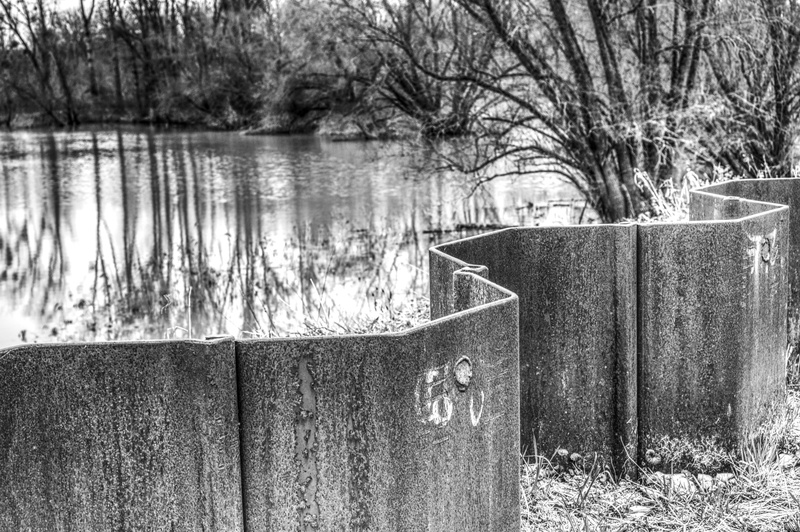 wood, bare tree, 5K, tree, hold back, wood - material, contrast, back keep, rhine, forest, land, dam, day, plant, outdoors, wall, iron, non-urban scene