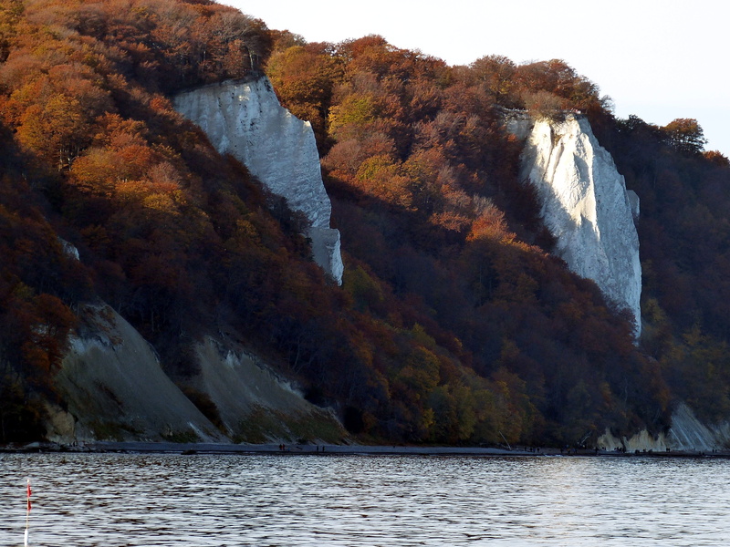 sea, waterfront, scenics - nature, coast, cliffs, rock, plant, white cliffs, rügen, beauty in nature, water, change, rügen island, baltic sea, autumn, chalkboard