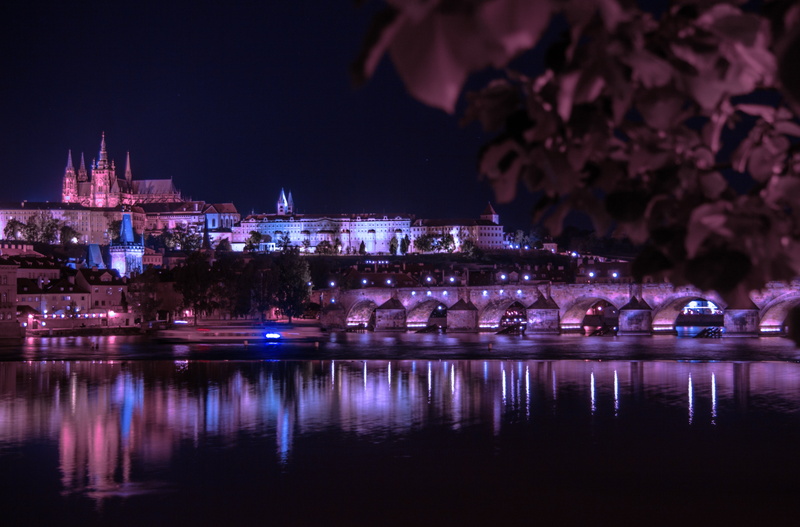 czech republic, historically, black and white, 4K, night photograph, cathedral, dom, near, bridge, charles bridge, plant, glowing, antique, monument, church