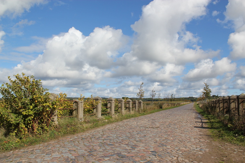outdoors, plant, 5K, tree, travel destinations, avenue, beach, nature, blue, baltic sea, no people, weather, summer, day, rügen, symmetry, the way forward
