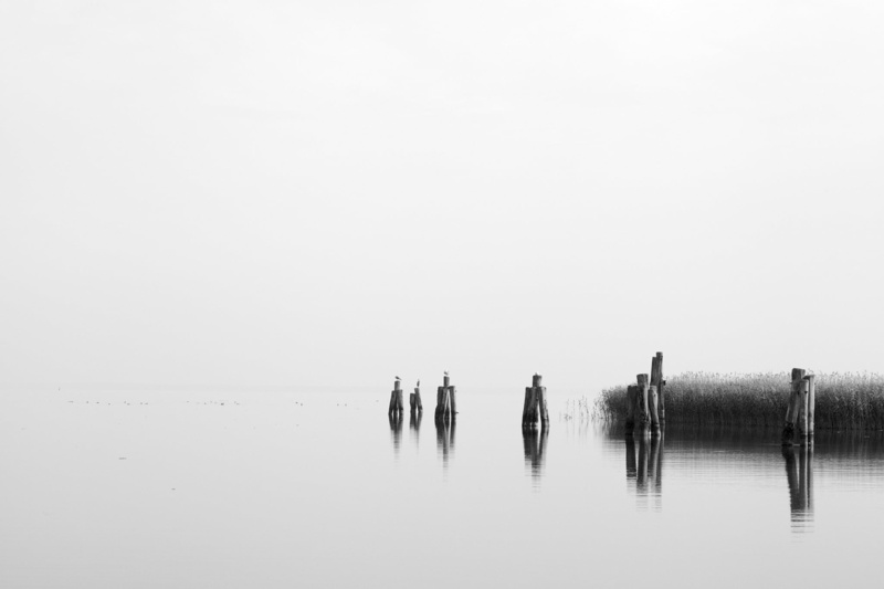 botany, 1080P, fog, mist, clouds, photo, Ralswiek, schwarzweiss, peace, grayscale, season, europe, reflection, ocean, fine, scenic, weather, baltic sea