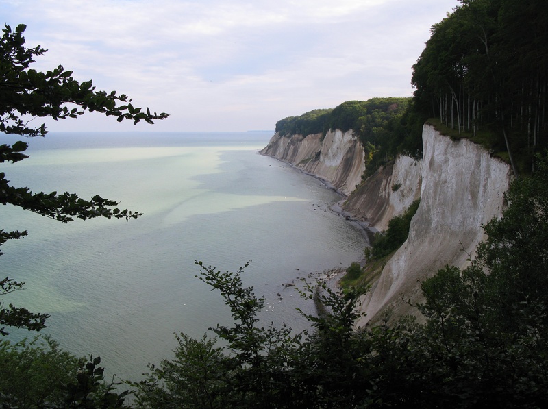sky, baltic sea, scenics - nature, non-urban scene, plant, flowing, jasmund, no people, land, white cliffs, tranquil scene, growth, cloud - sky, day, nature