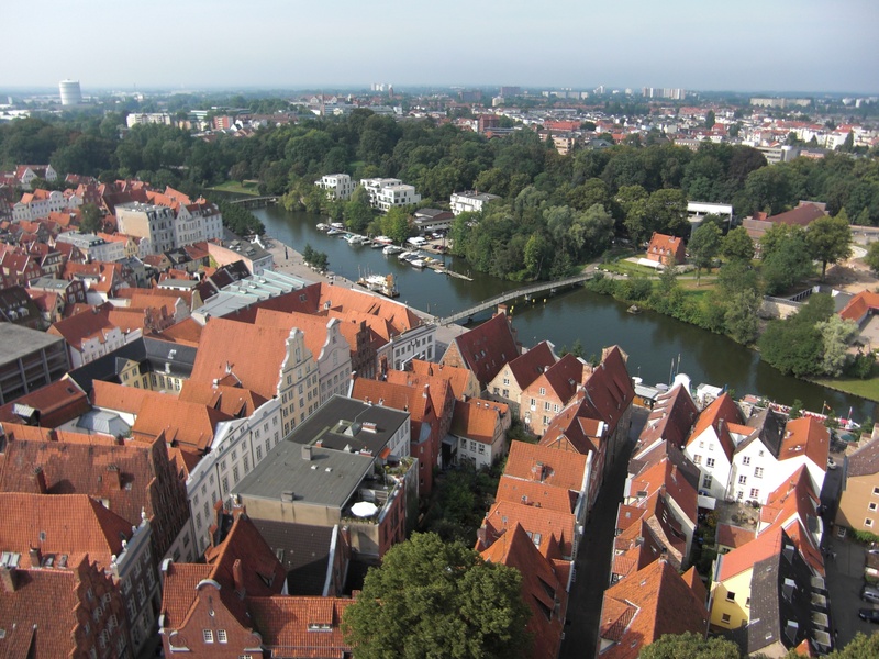 tree, high angle view, city, built structure, crowd, outdoors, nature, hanseatic league, crowded, townscape, roof, sky, 1080P, architecture, residential district