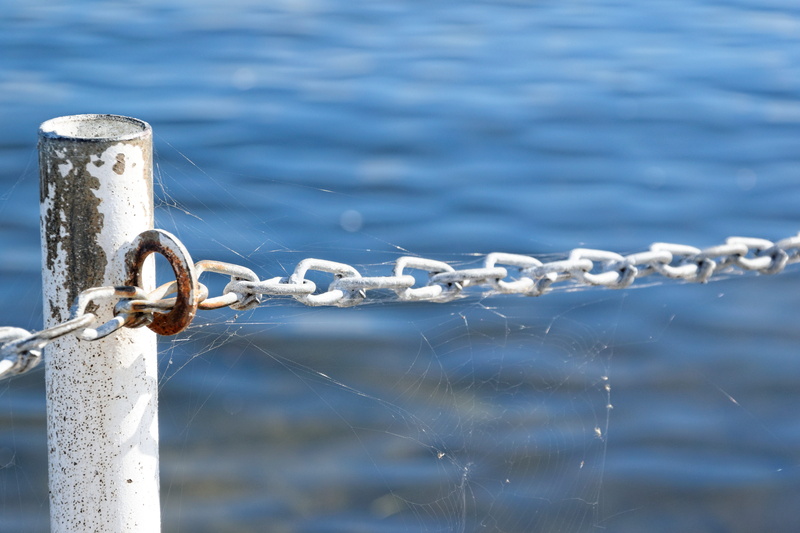 close-up, holiday, Stralsund, sunlight, strength, wooden post, Water, day, Barrier, no People, safety, outdoors, focus on foreground, tied up, 5K, metal