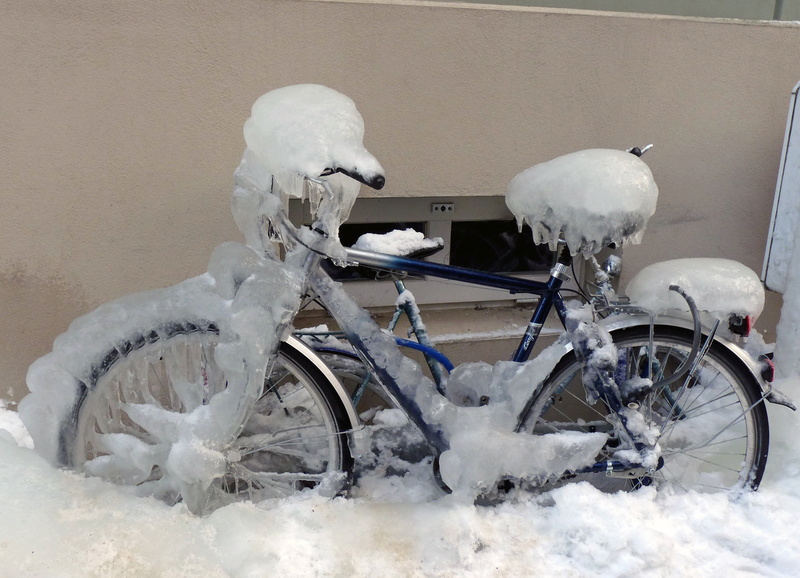 covering, white color, nature, iced, stralsund, snow, architecture, parking, animal, bicycle, animal themes, frozen, no people, winter, wheel, land vehicle