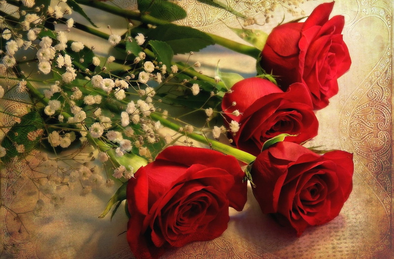 backgrounds, rose - Flower, high angle view, anniversary, plant, day, no People, flower arrangement, indoors, valentines Day - Holiday, vulnerability, gypsophila