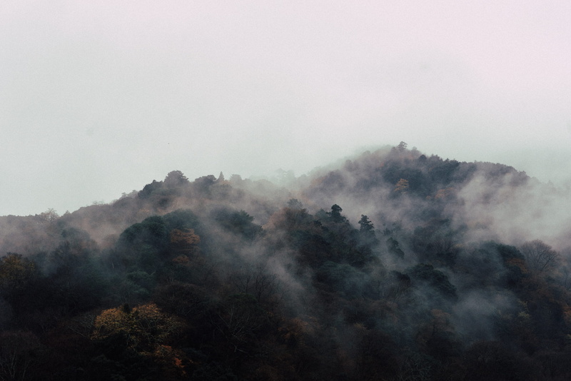fog, smog, morning, scenics, beauty in nature, photo, sky, no people, Arashiyama, land, plant, photography, cloud - Sky, covered, outdoors, tranquil scene