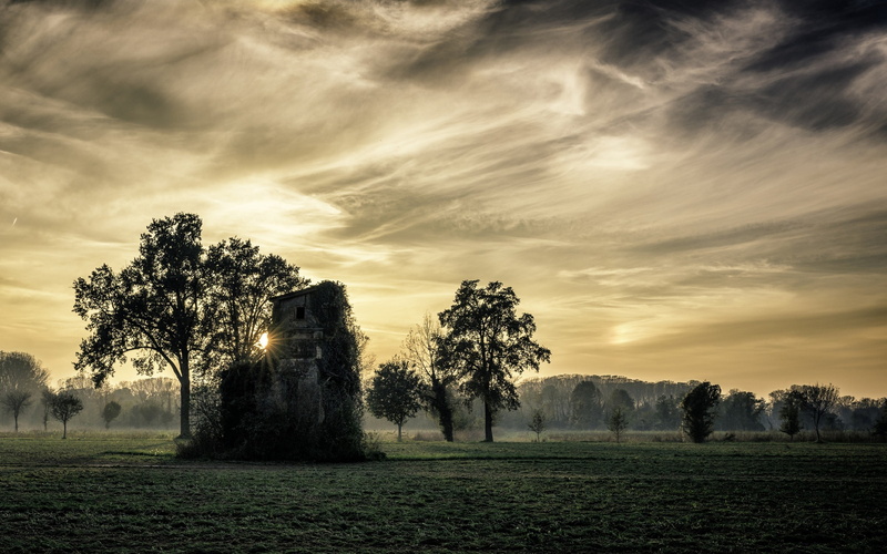 tree, house, field, 2K, tranquility, no people, mountain, idyllic, land, trees, Italy, grass, beauty in nature, cloud - sky, building, mist, abandoned