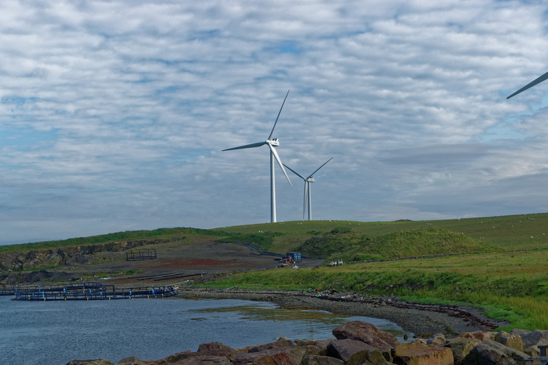 sanday, field, beauty in nature, day, tranquil scene, non-urban scene, scenics - nature, spin, sky, power in nature, environmental, wind, landscape, Wind Turbines