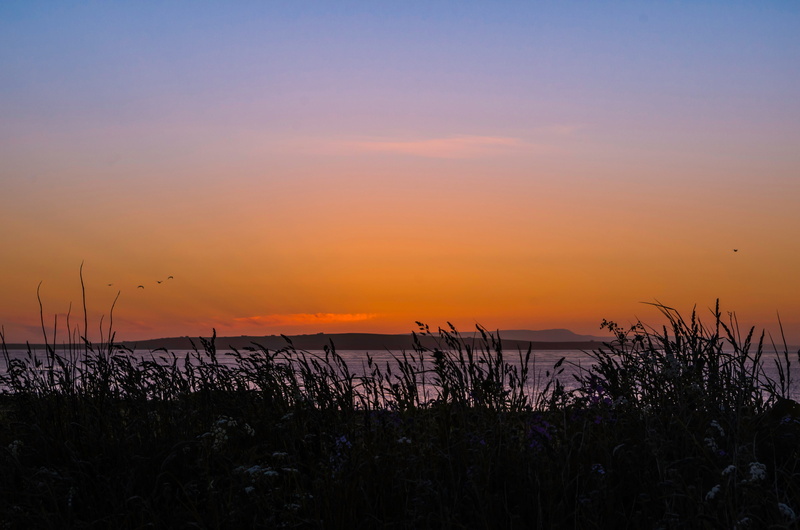 sea, plant, sky, Sunset, no people, horizon, lights up, evening sky, john ogroats, orkney, marram grass, idyllic, tranquility, afterglow, beauty in nature