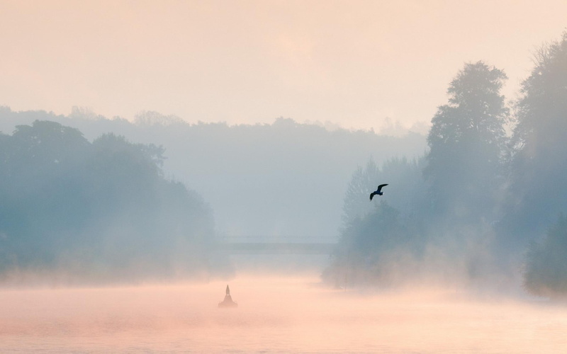 bird, nature and landscapes, amazing, bridge, buoy, misty, lake, 1080P, mist