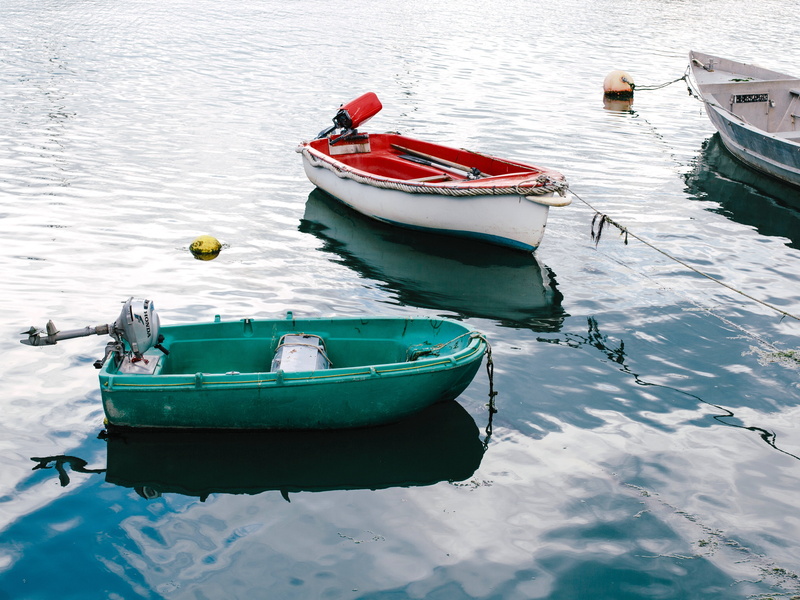 seagull, red, moored, reflection, buoy, machine, day, waterfront, no people, lake, bass, body, transportation, sea, outdoors, close-up, rope, mode of transport