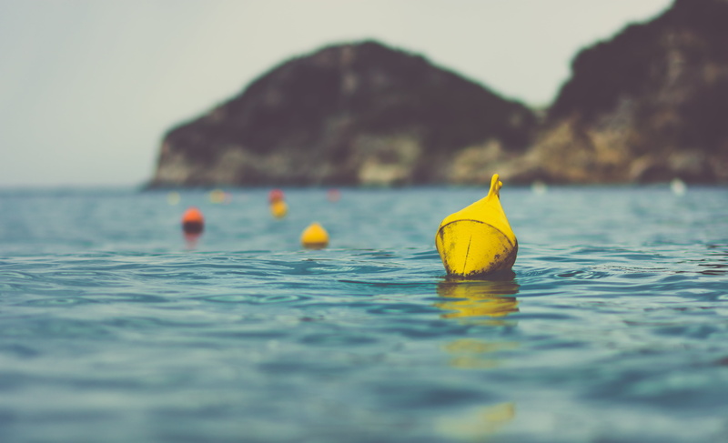 summer, forest, tranquility, outdoors, tranquil scene, ocean, scenics - nature, daylight, surface level, waterfront, nature, sea, swimming, sunset, seashore