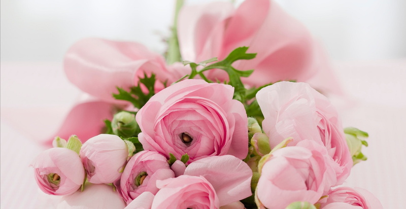 flowers, 1080P, bouquet, Ranunculus