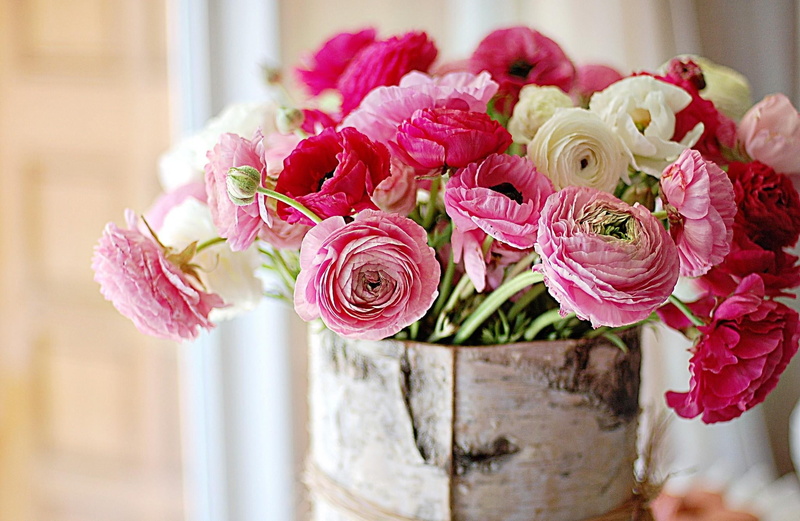 flowers, rose - Flower, plant, pink, gift, love, beauty in nature, table, fragility, nature, flowering plant, freshness, pink Color, wood - Material, decoration