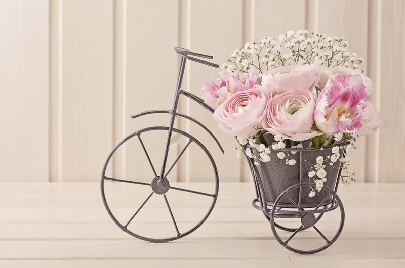 arrangement, pink Color, bicycle, wall - Building Feature, close-up, summer, decoration, flowering plant, bike, domestic Room, plant, vulnerability, freshness