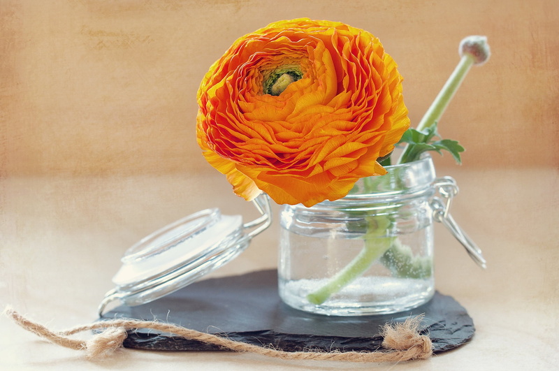 glass - material, freshness, container, flowering plant, deco, mason jar, glass, plant, orange, bloom, vegetarian food, decoration, kitchen utensil, vase