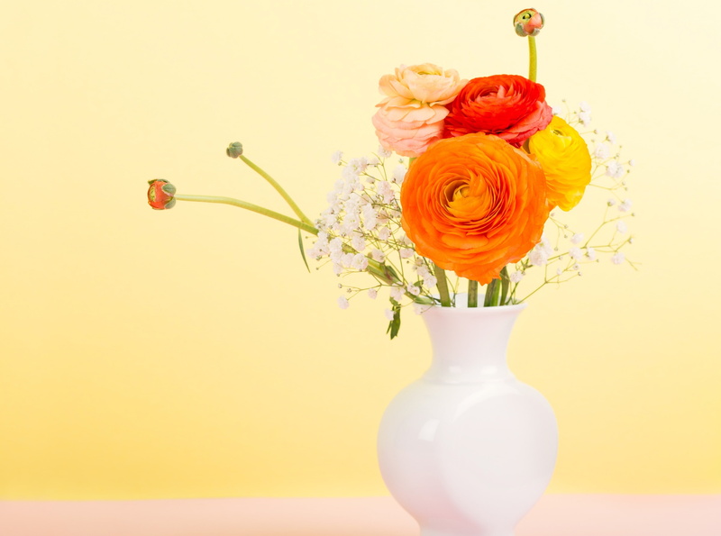 flower, rose - flower, rose, indoors, flower head, ranunculus, buttercup, white, beauty in nature, inflorescence, freshness, bunch of flowers, no people