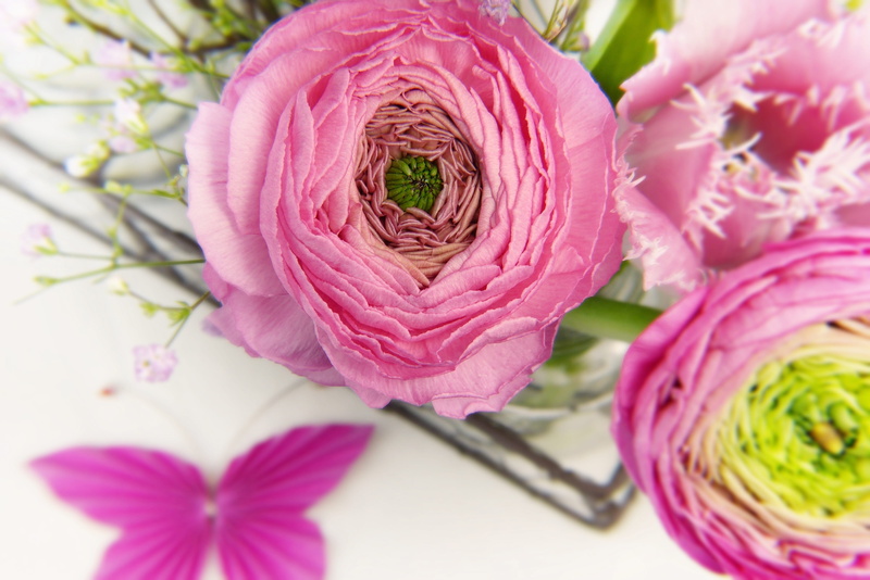 mothers day, aromatherapy, petal, still life, vase, give, thank you, wedding day, purple, butterfly, flower, inflorescence, blossom, invitation, bouquet