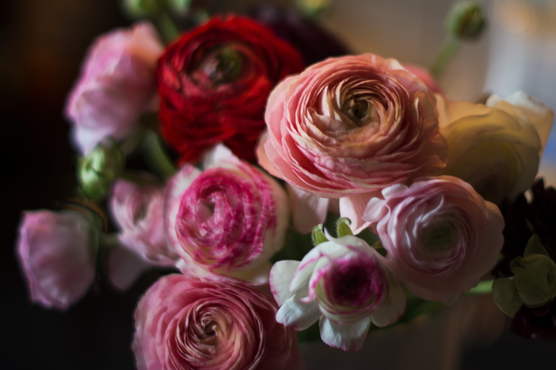 fragility, bloom, flowering plant, bouquet, pink, natural, close-up, flower head, nature, blossom, spring flowers, vulnerability, selective focus, flower arrangement