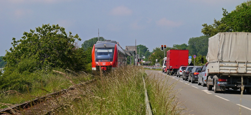 tree, train has right of way, single-lane bascule bridge, trucking, road, train, nature, travel, freight transportation, transportation, railroad track