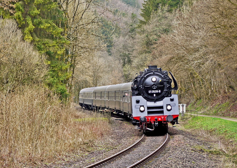 no people, land, tree, public transportation, track, main line, train, forest, field, travel, descent, 1080P, land vehicle, br 01-5, historically, the eifel railway