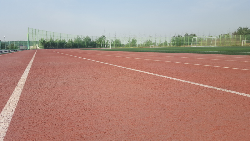Track, day, grass, plant, running, track, sky, empty, diminishing perspective, Running, single line, racing, brown, sport, competitive, Marathon, no people