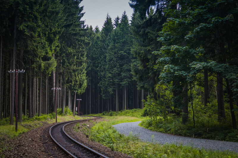 nature, direction, bamboo - plant, the way forward, single Lane Road, green Color, 5K, travel, scenics - nature, beauty In Nature, scenics, grass, railroad Track