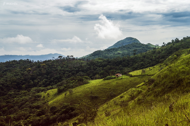single track, flora, tranquility, hill, leisure, visual, outdoors, lonely, trip, adrenaline, tropical vegetation, grass, scenics - nature, plants, home