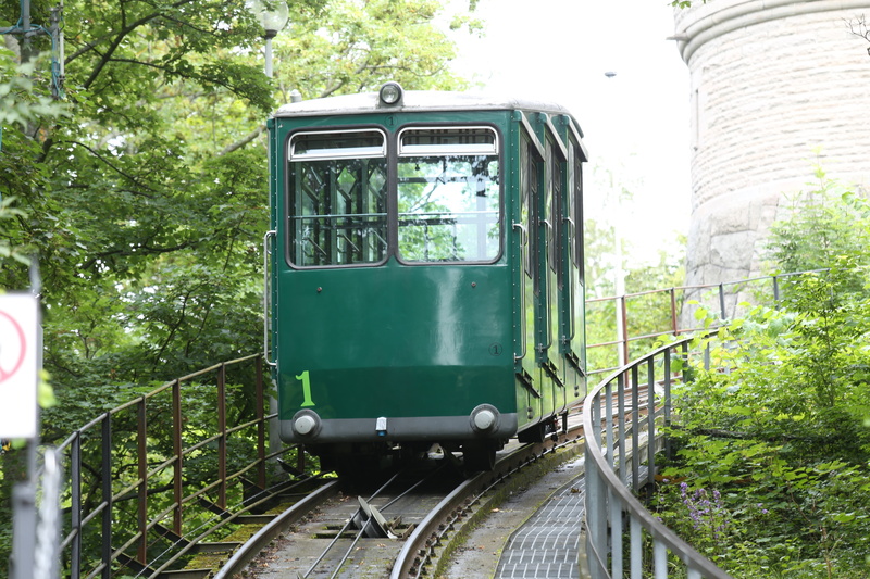 train, single track, land vehicle, train - vehicle, public transportation, rail transportation, railroad car, 5K, traffic, nature, growth, passenger train