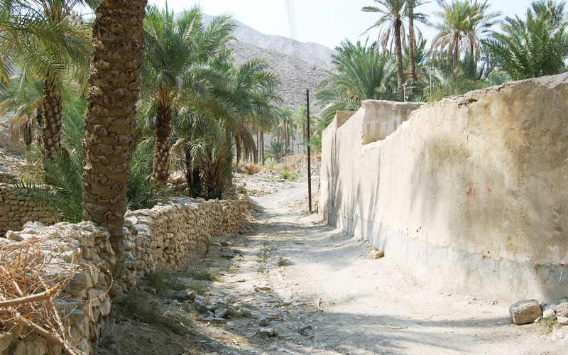 stone Material, trees, built Structure, green, archaeology, plant, direction, wall - Building Feature, travel, solid, tropical climate, tourism, sunlight