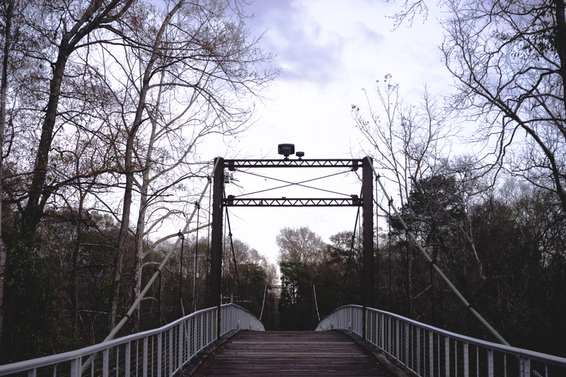 cloud - sky, tree, united states, outside, scary, built structure, diminishing perspective, no people, day, national park, railing, bare tree, love, country
