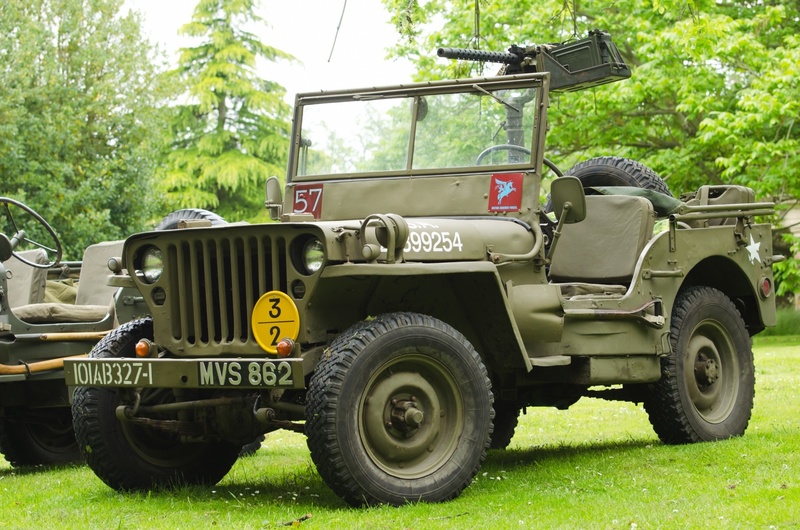 carrier, tree, combat, war, motor vehicle, car, off-road vehicle, land vehicle, army, all-terrain, off-road, stationary, motor, automobile, road, engine