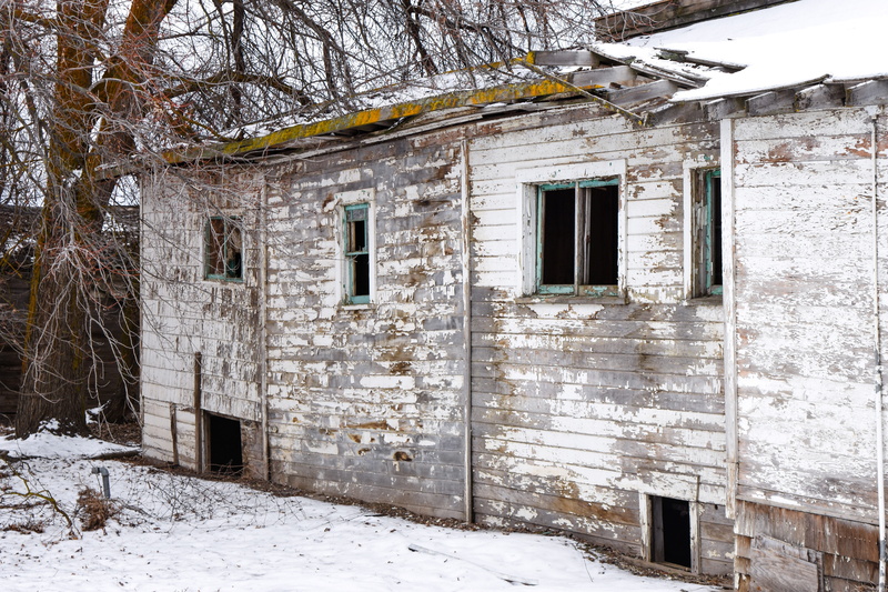tree, white color, abandoned, house, covering, building, 5K, snow, outdoors, built structure, architecture, winter, window, old, cold temperature, back road