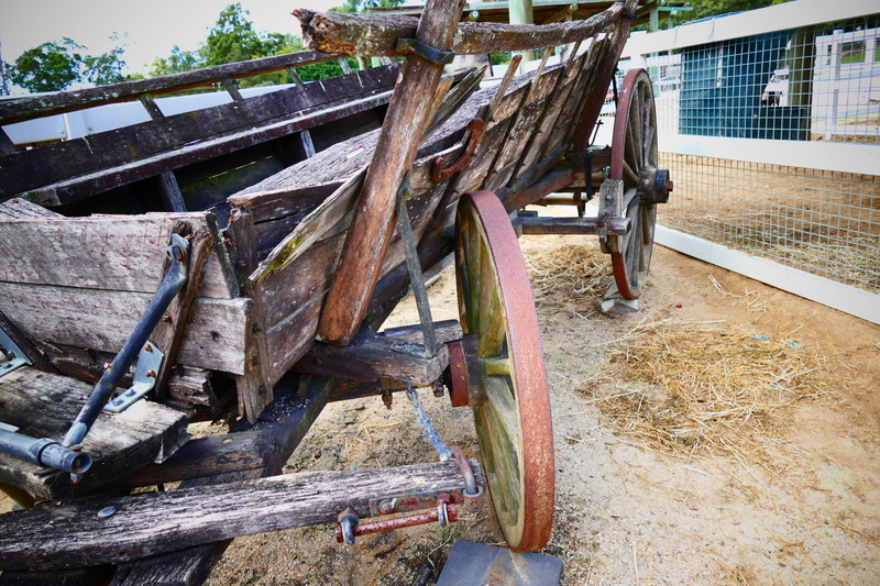 transport, built structure, road, obsolete, no people, damaged, Wheel, rustic, Wooden, decline, rusty, Cart, deterioration, antique, vehicle, ancient, Vintage