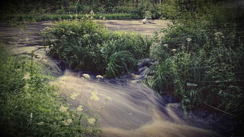 nature, long exposure, tree, 4K, motion, green color, stream, plant, blurred motion, land, forest, no people, river, flowing water, beauty in nature, flowing
