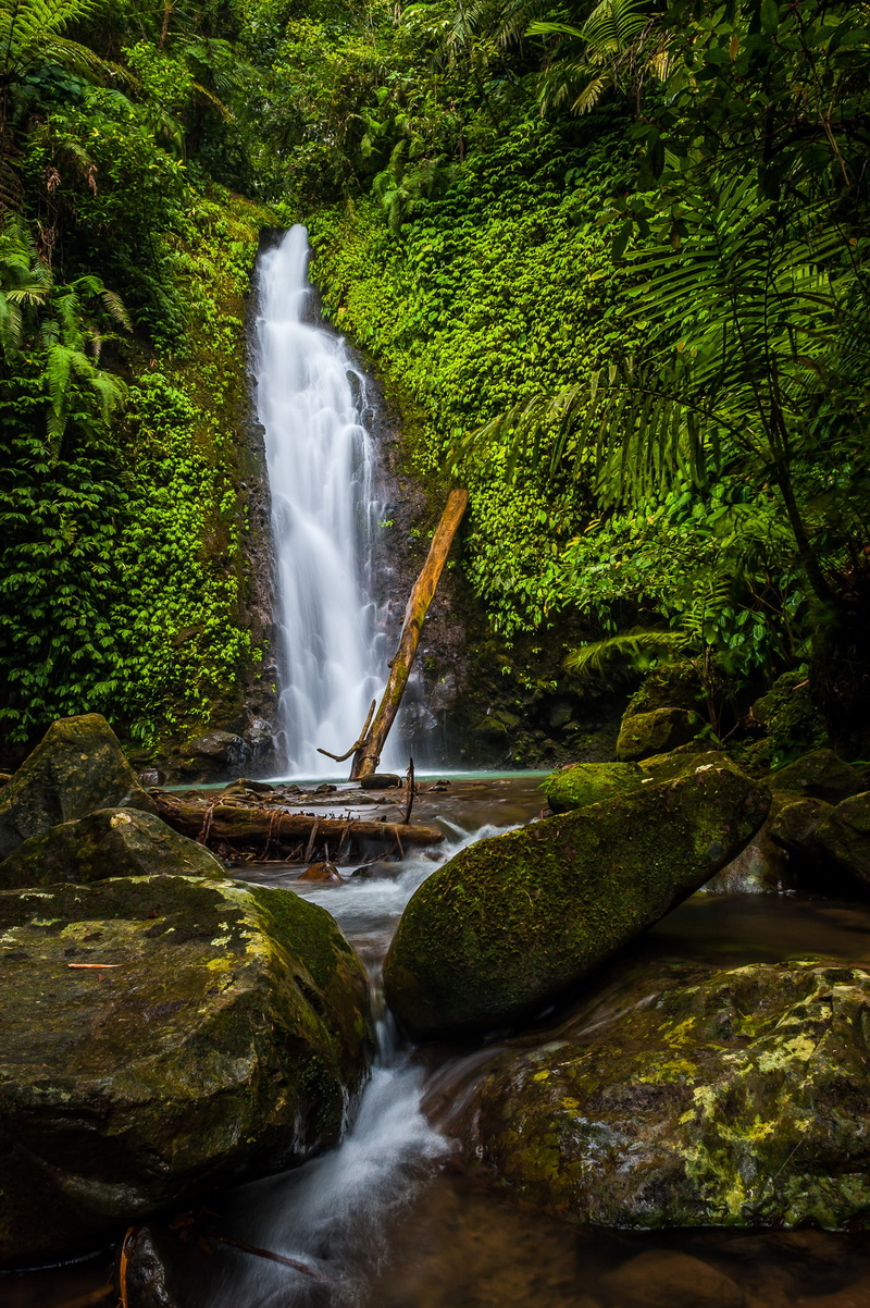 philippines, water, stream, bukidnon, 1080P, landscape, forest, DSC, outdoors, time lapse, river, tree, freshness, waterfall, time, nature, jpg, daytime