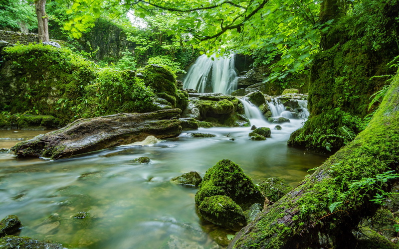 rock, hd, k, tree, beauty in nature, 4K, plant, moss, waterfall, rock - object, motion, scenics - nature, nature, green color, long exposure, rainforest