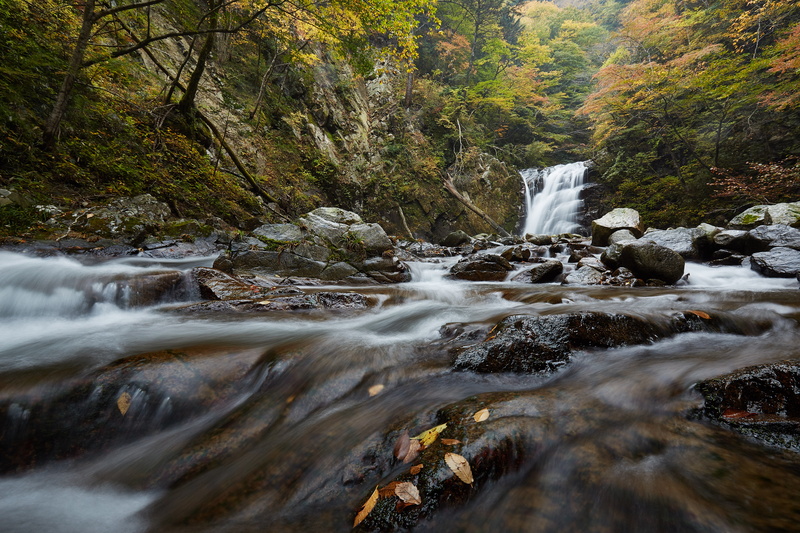 tree, 日本, Hirono, forest, 5K, stream, scenics, nature, autumn, waterfalls, waterfall, machi, water, JAPAN, photo, close up, cascading, beauty In Nature