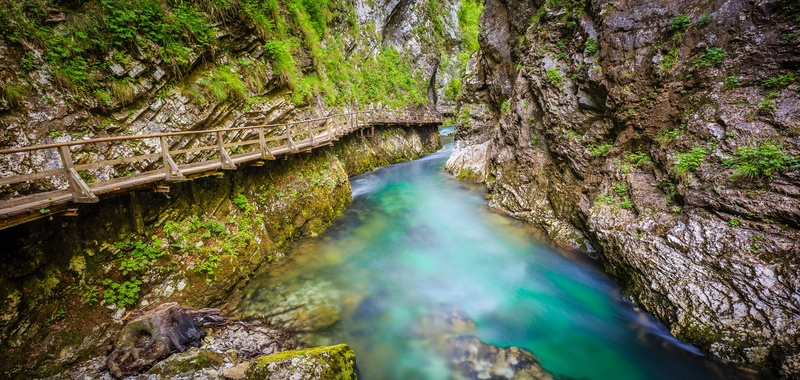 travel, coated, tree, forest, outdoors, scenics, waterfall, wide angle, 2K, vacation, Landscape, mountain, river, Radovljica, daytime, stream, Canon 6D