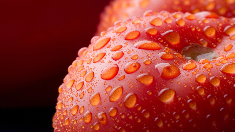 beauty in nature, nature, studio shot, water drops, flowering plant, water, food and drink, orange color, red, food, freshness, pattern, indoors, plant