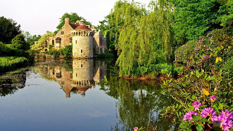 nature and landscapes, flowers, 1080P, reflection, concrete, trees, engl, kent, scotney, lake, gray, castle