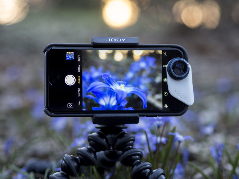 photographing, smart phone, tripod, photographic equipment, device screen, joby, electrical equipment, camera, activity, wireless technology, wild flower
