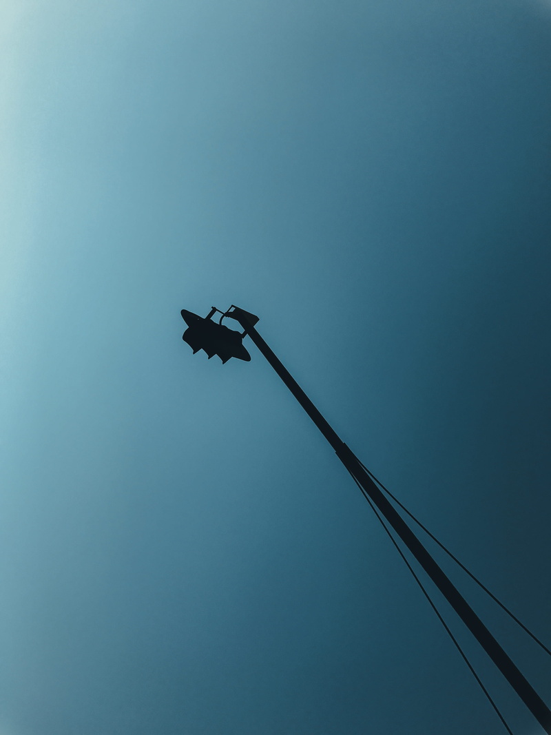 air vehicle, animal, #streetlights, 4K, sandton drive, south africa, silhouette, mode of transportation, nature, minimal, robot signs, transportation